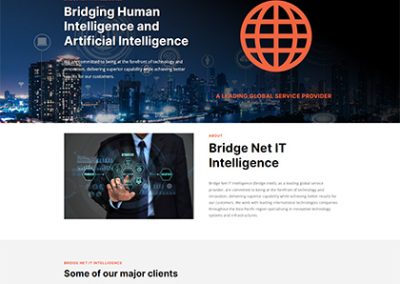 Bridge Net IT Intelligence